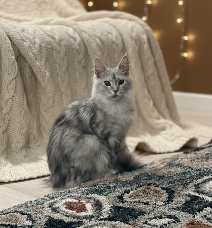 Mercury