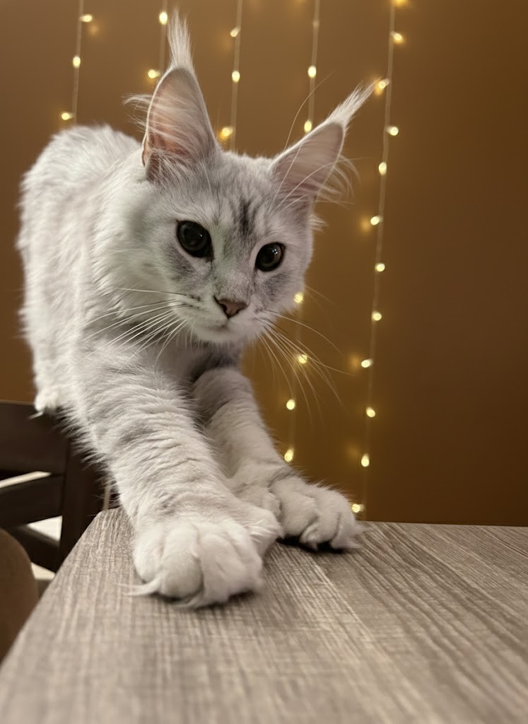 Mercury