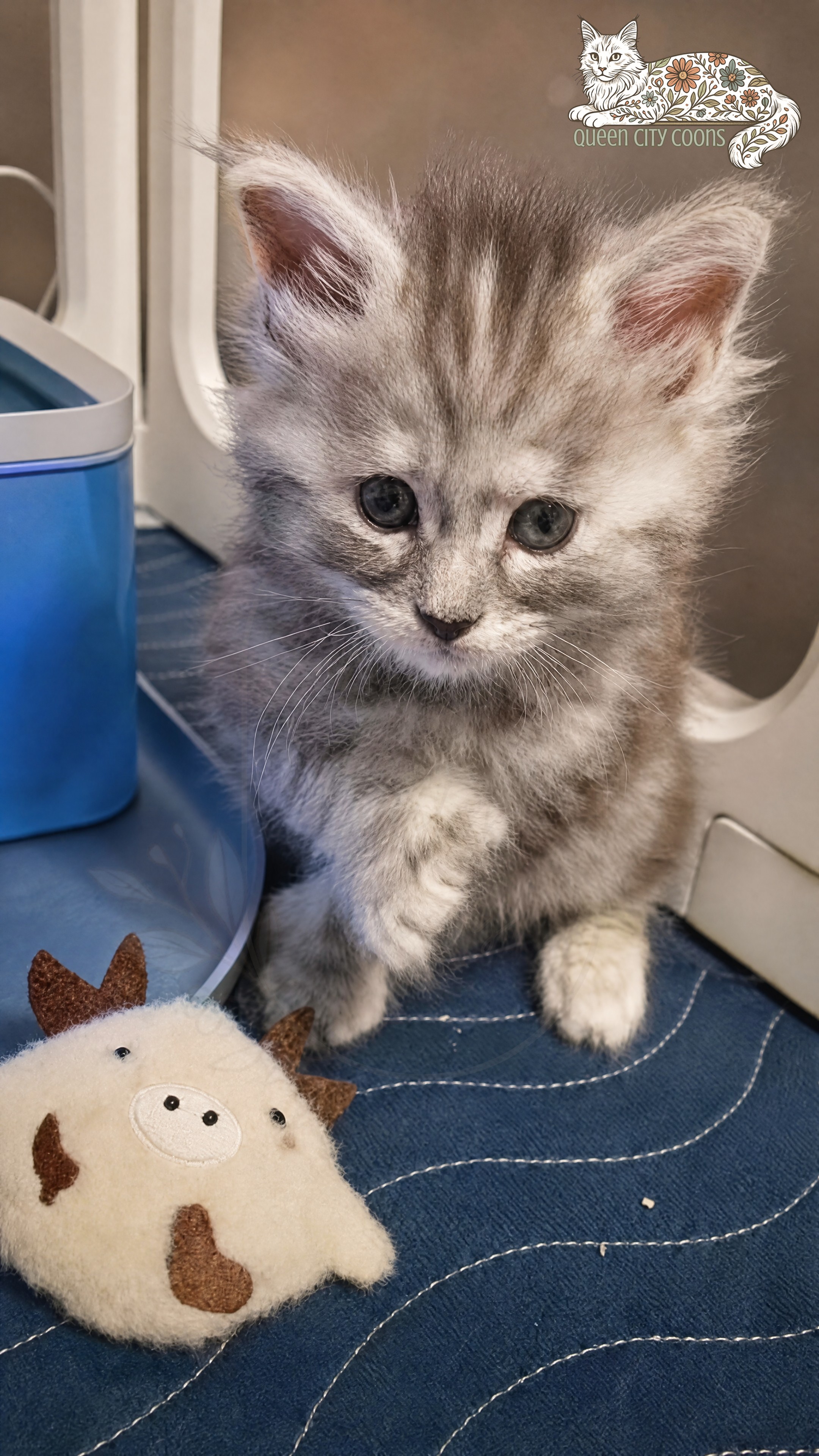 Juniper
